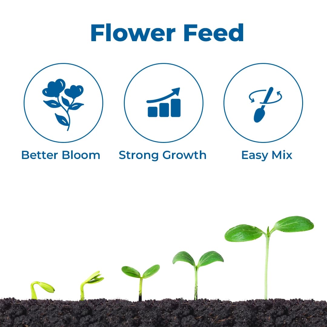 EBS Boron 20% Fertilizer - 25Kg - Image 4