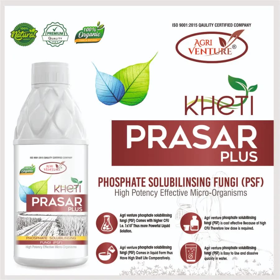 Agriventure Kheti Prasar Plus ( Psf - Phosphate Solubilizing Fungi ) Eco-Friendly Bactericide Organic Product Bio Firtilizers - Image 4