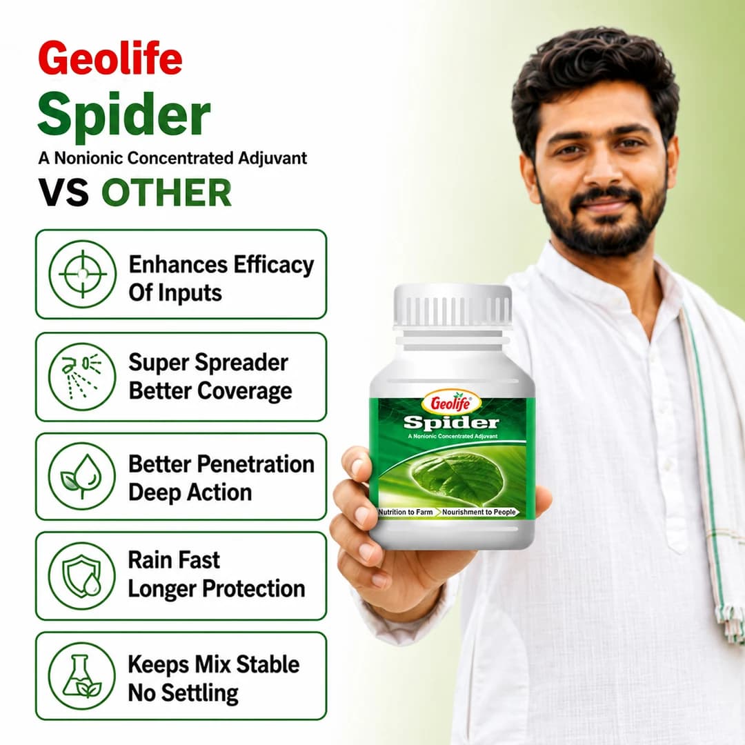 ஜியோலைஃப் ஸ்பைடர் நான் அயானிக் சிலிகான் அட்ஜுவன்ட், பூச்சிக்கொல்லிகள், களைக்கொல்லிகள் மற்றும் ஊட்டச்சத்துகளின் செயல்திறனை அதிகரிக்கும் - Image 2
