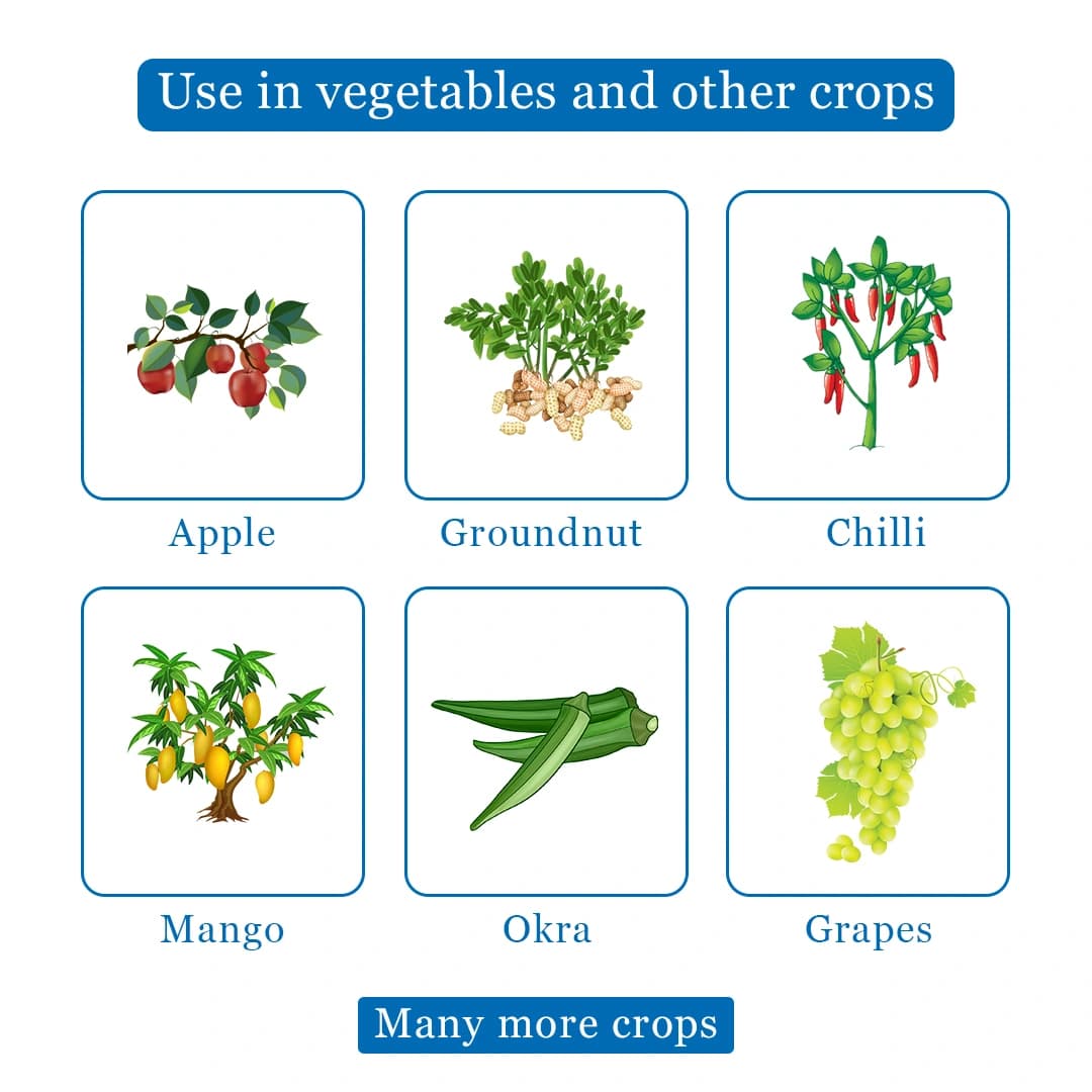 Excel Sulfex Fungicide - Image 4