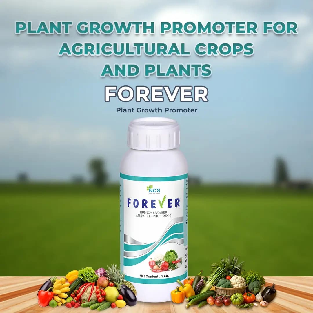 FOREVER - Special Plant Growth Promoter, Yield Enhancer, and Plant Immunity Booster (Humic Acid + Amino Acid + Seaweed Extract + Fulvic + Cytokinin) - Image 2
