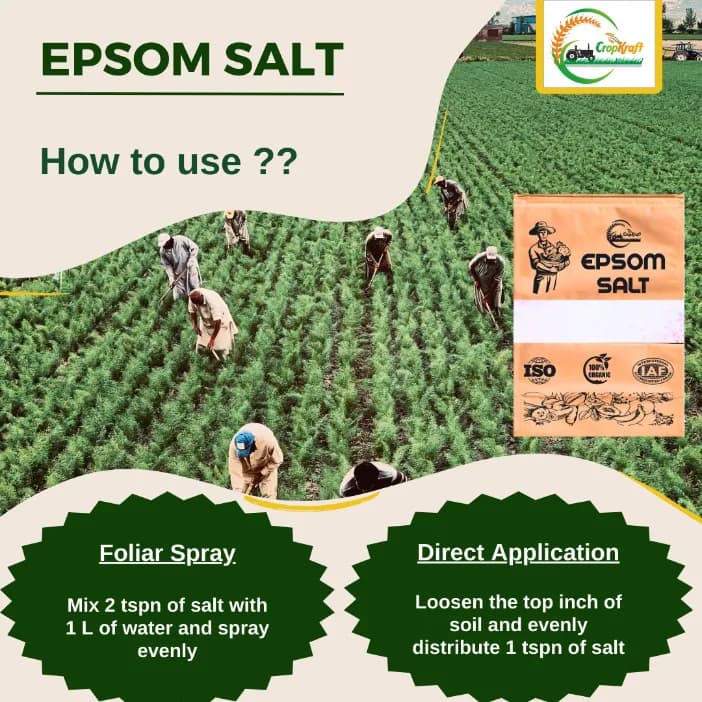 CROPKRAFT Epsom Salt (Magnesium Sulphate) Magnesium as Mg (9.7%) & Sulphur as S (12%) Powder - Image 5