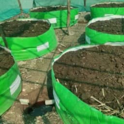 Greeno Biotech Round Vermi Compost Bed, 450 GSM, Durable, & Self Standing, Ideal For Farms, Gardens And Organic Waste Management 3