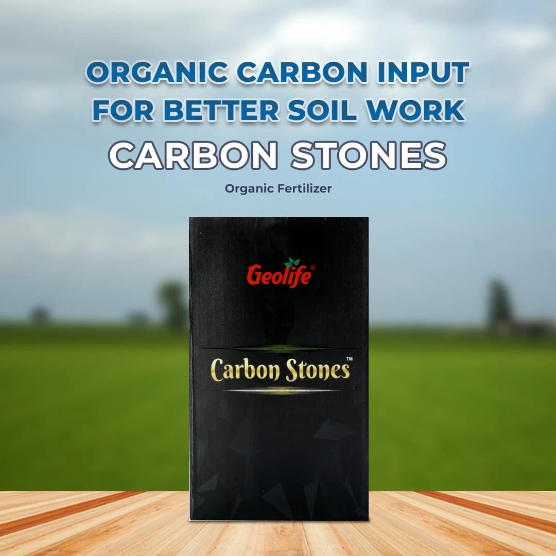 Geolife Carbon Stones Organic Fertilizer, Boost Soil Fertility Carbon for Soil and Plant Growth - Image 2