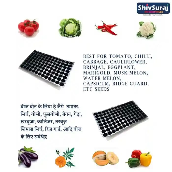 Shivsuraj 104 Cavity Seedling Tray, Round Shape Hole Germination Tray, For Sowing Seeds - Image 12