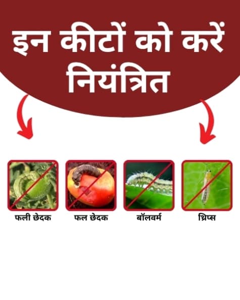 Katyayani Ema5 Insecticide - Image 4