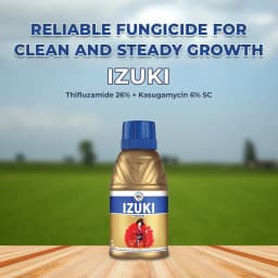 IIL Izuki Thifluzamide 26% + Kasugamycin 6% SC Fungicide, Advanced Disease Control For Paddy 2