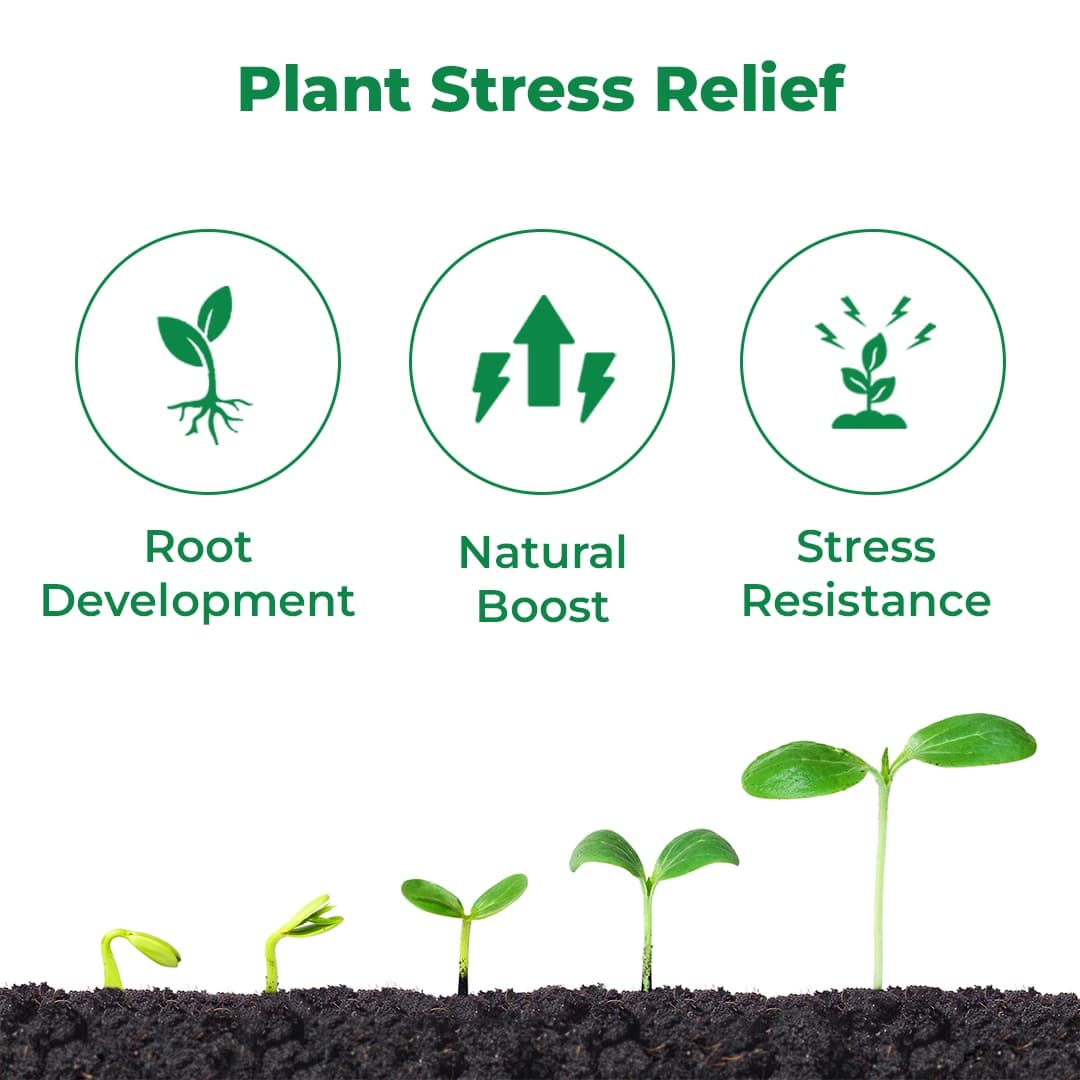 UPL Macarena, A Plant Tonic, A True Stress Buster, Fermented Extract Nutrient 15%, Increases Metabolism of Plant - Image 3