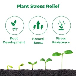 यूपीएल मैक्रेना, एक पौधों का टॉनिक, वास्तविक तनाव निवारक, किण्वित निष्कर्ष पोषक तत्व 15%, पौधों के मेटाबोलिज़म को बढ़ाता है 3