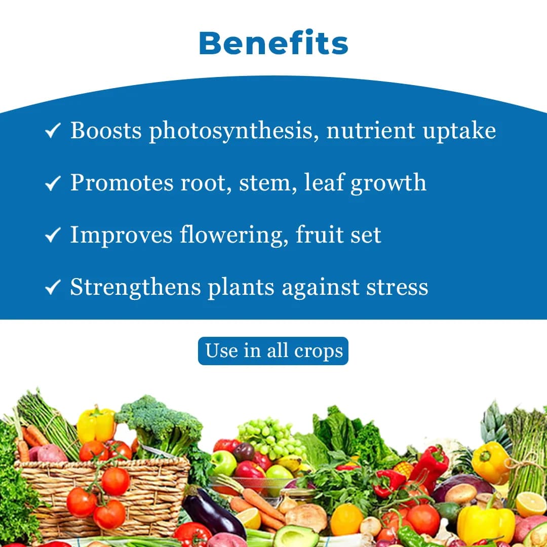 BACF Aminox , Amino acids , Plant cuticle waxes, and honey waxes, For All Type of Horticulture And Field Crops - Image 4