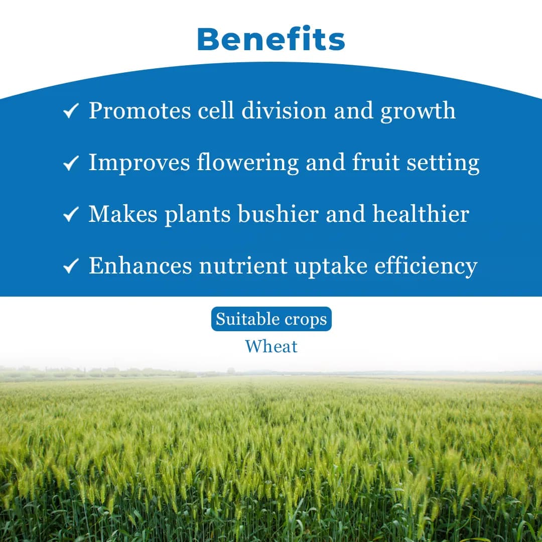Zeal Biological CYTOKINE Growth Stimulant, Promotes Overall Plant Health And Resilience, Reducing Damage From Environmental Stress - Image 4