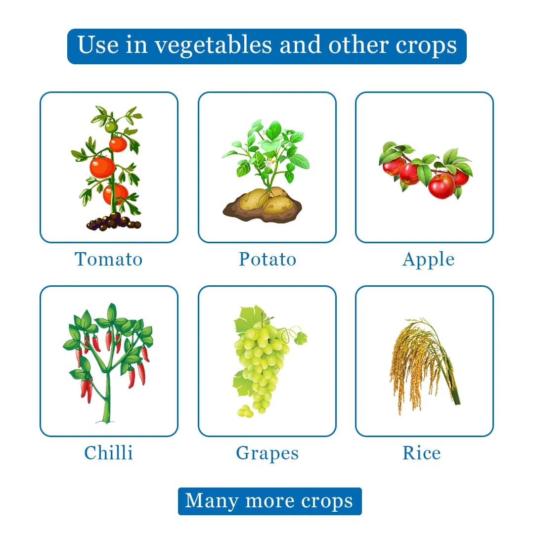 Katyayani Propineb 70% WP Contact Fungicide For Plants Use To Cure Scab Leaf Spot Early And Late Blight In Tomato Graps Pomegranate And Rice - Image 4
