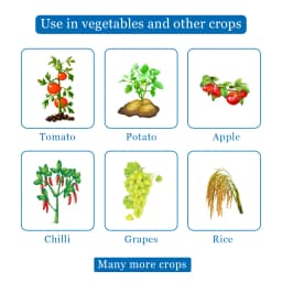 Katyayani Propineb 70% WP Contact Fungicide For Plants Use To Cure Scab Leaf Spot Early And Late Blight In Tomato Graps Pomegranate And Rice 4