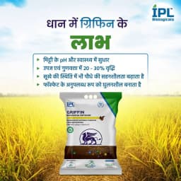 IPL Griffin NPK Microbial Consortia Biological Fertilizer, Efficient Nutrient Management And Improved Drought Tolerance In Plants. 2