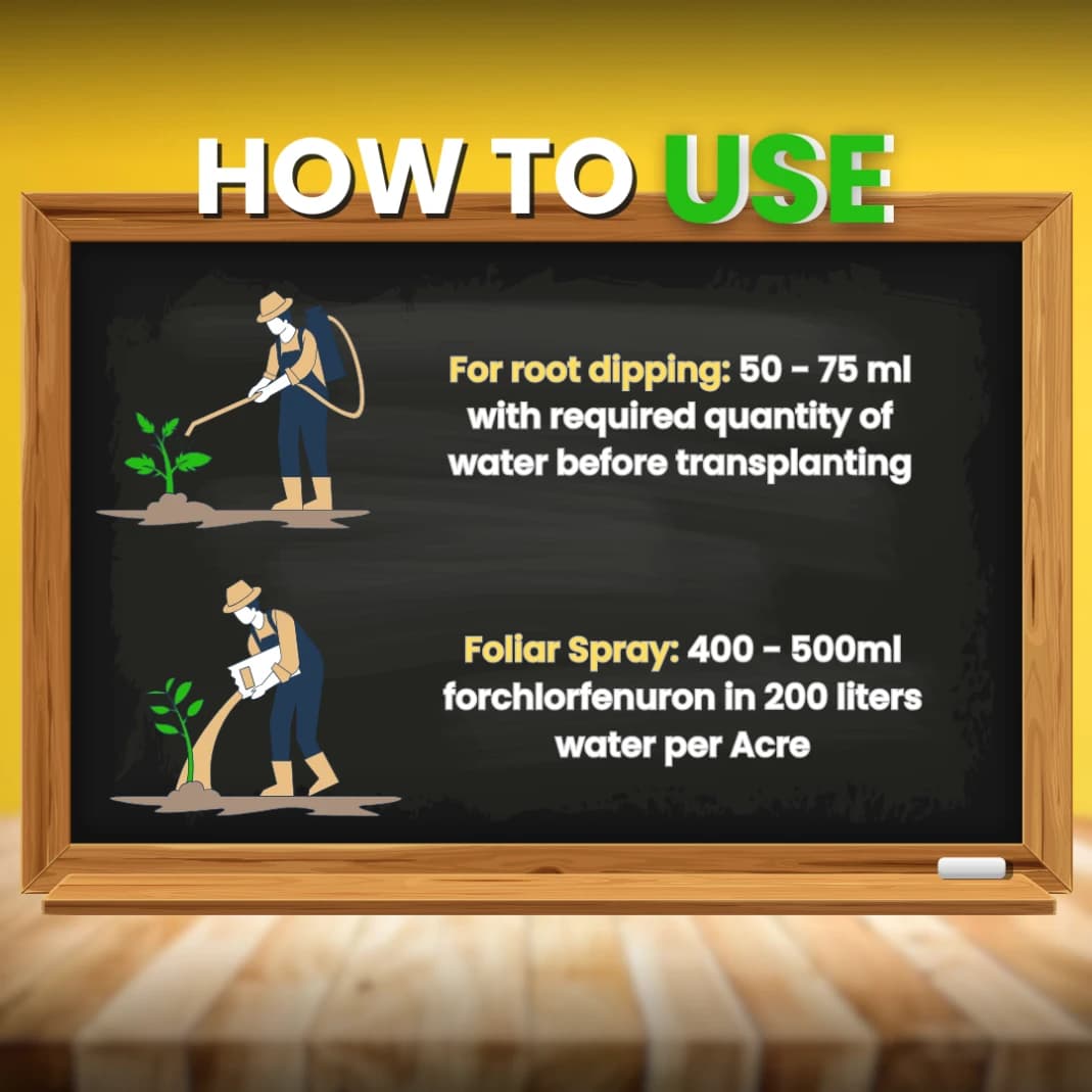 Katyayani Fluben Flubendiamide 39.35% SC Insecticide, Target a Range of Lepidopteran Pests - Image 9
