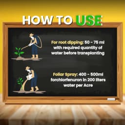 Katyayani Fluben Flubendiamide 39.35% SC Insecticide, Target a Range of Lepidopteran Pests 9