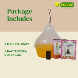 WAVAR Bactrocera Dorsalis Macphil Trap, Easy To Install, Effective Fruit Fly Control 2