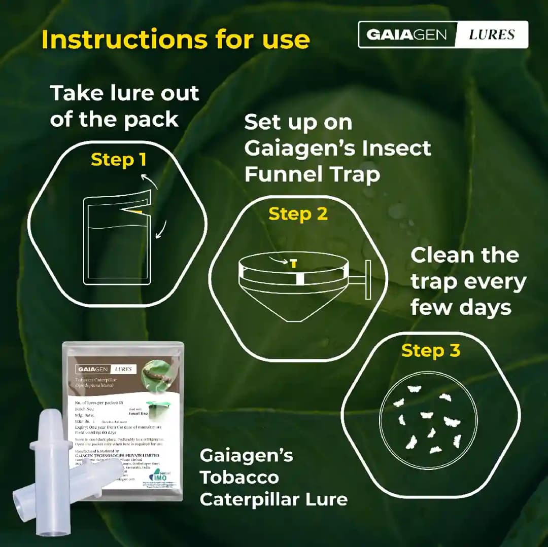 Gaiagen Tobacco Caterpillar (Spodoptera Litura) Pheromone Lure And Insect Funnel Traps, IMO Certified. - Image 5