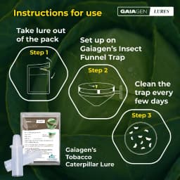 Gaiagen Tobacco Caterpillar (Spodoptera Litura) Pheromone Lure And Insect Funnel Traps, IMO Certified. 5