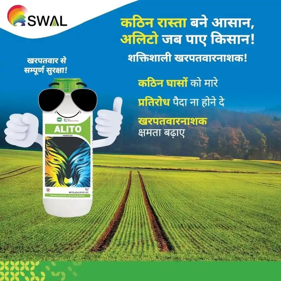 Swal Alito Metolachlor 50% EC, Selective Pre Emergence Herbicide, Use for Soybean - Image 2