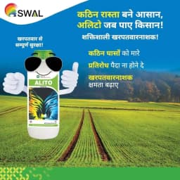 Swal Alito Metolachlor 50% EC, Selective Pre Emergence Herbicide, Use for Soybean 2