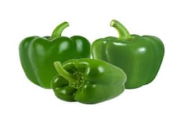 Iris Hybrid Vegetable Seeds F1 Capsicum Green Capsicum Krishn, Thick Flesh, Vigorous Plant. 2