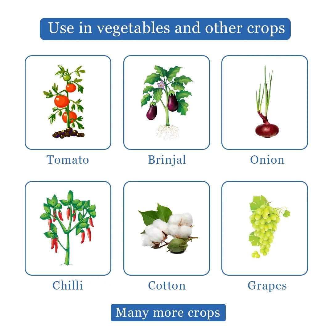 बीटा - थ्रिप्स और माइट्स के लिए जैव और पर्यावरण अनुकूल उपाय, उन्नत जैव प्रौद्योगिकी पर आधारित, सभी कृषि फसलों के लिए विशेष उपयोगी. - Image 4