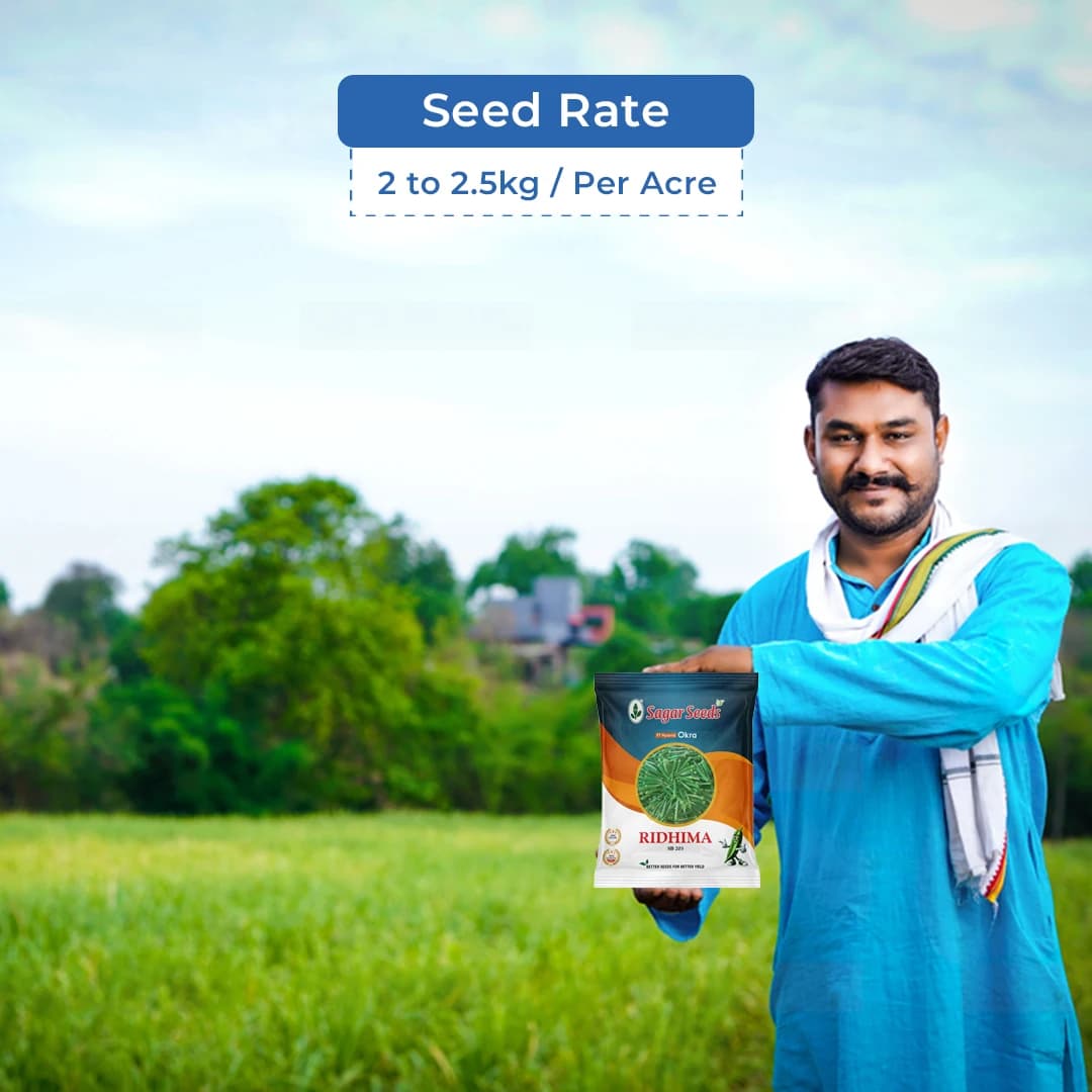 Sagar Ridhima SB 203 Okra Seeds - Bindi Seeds - Image 5