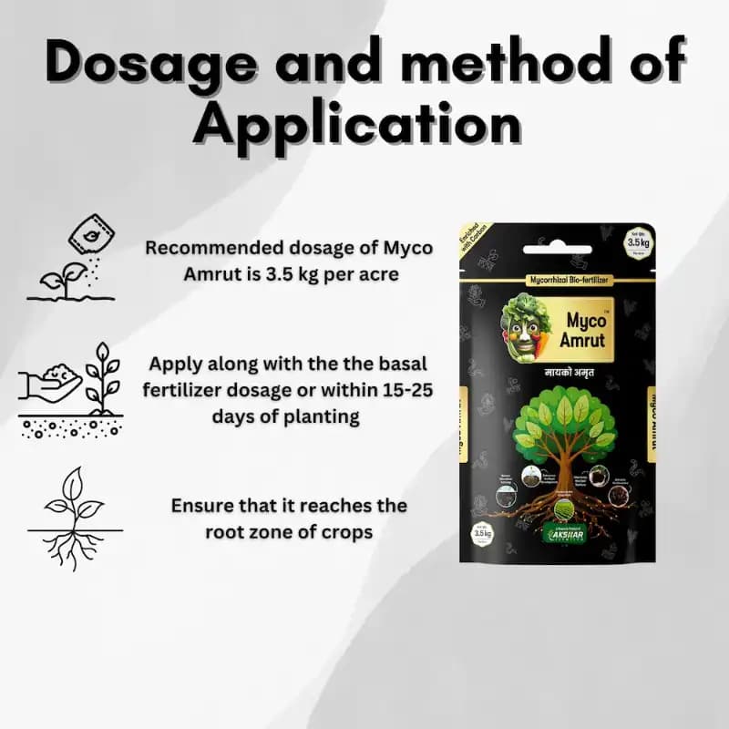 Myco Amrut Vesicular Arbuscular Mycorrhiza Bio Fertilizer - Image 3