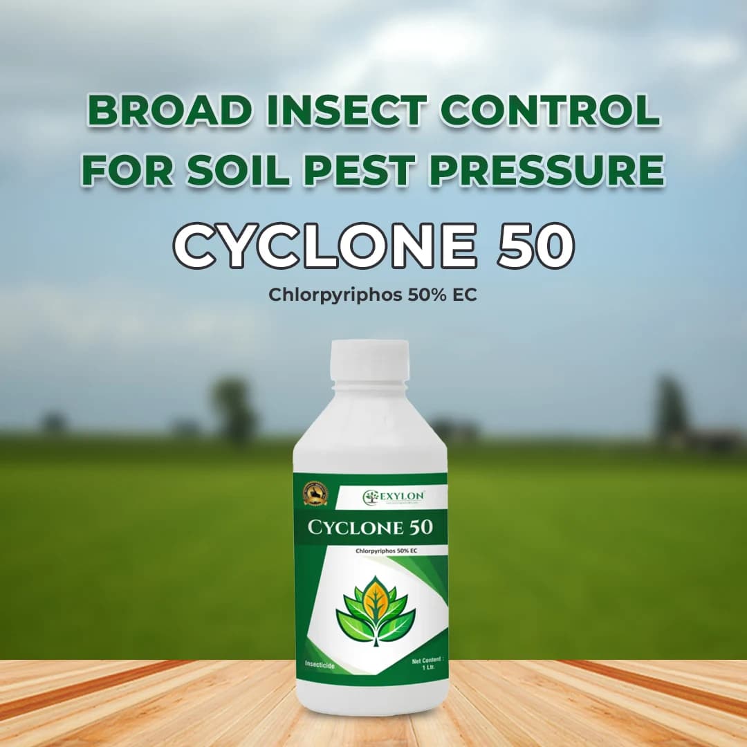 Exylon Cyclone 50 Chlorpyriphos 50% EC Insecticide, Broad-Spectrum, Effective Sucking And Chewing Pests For Crops - Image 2
