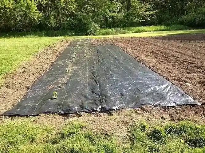 Siddhi Weed Control Mat 110 GSM - Image 10