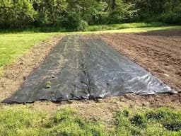 Siddhi Weed Mat 110 GSM Garden Weed Fabric Heavy-Duty Weed Block Gardening Mat Eco-Friendly Weed 10