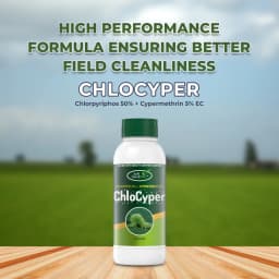 Agriventure Chlocyper (Chlorpyriphos 50% + Cypermethrin 5% Ec) Insecticides 2