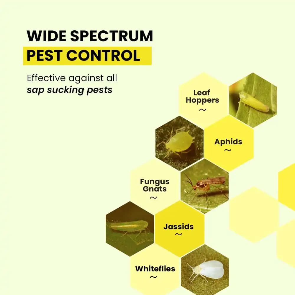 IFFCO Urban Garden Sticky Traps Pest Control, High-Quality Durable Waterproof & UV-Resistant (Yellow & Blue) - Image 3