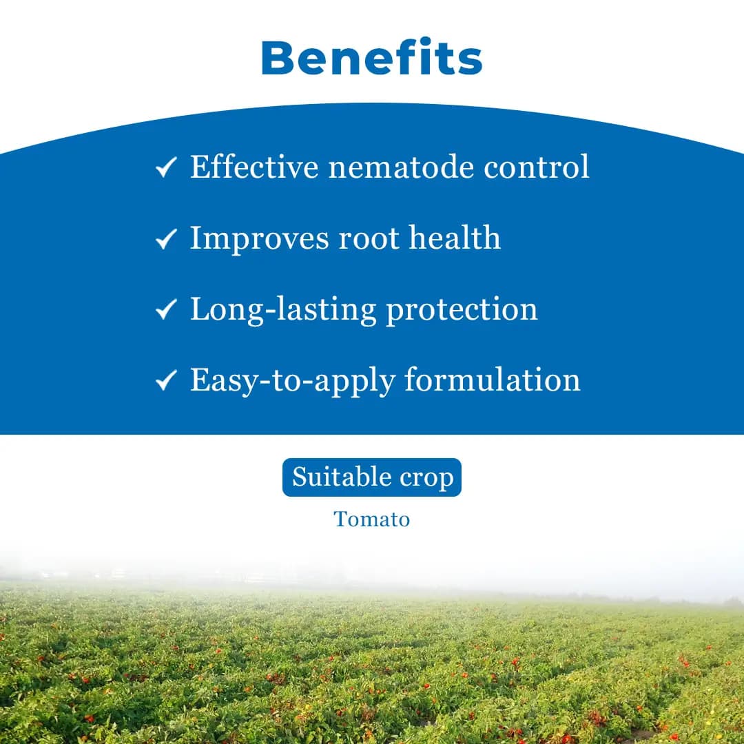 Velum Prime - Fluopyrum 34.48% SC, Effective and Long Duration Control of Root-Knot Nematodes (Meloidogyne Incognita) - Image 4