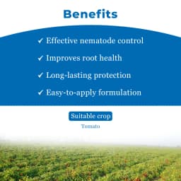 Velum Prime - Fluopyrum 34.48% SC, Effective and Long Duration Control of Root-Knot Nematodes (Meloidogyne Incognita) 4