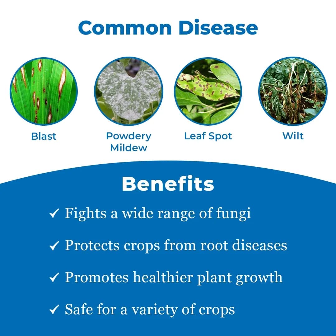EBS LEGACY-70 Thiophanate Methyl 70% WP Fungicide For Anthracnose, Apple Scab, Powdery Mildew, and Several Leaf Spot Diseases. - Image 3