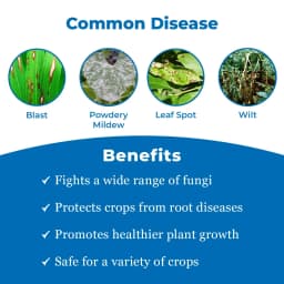 EBS LEGACY-70 Thiophanate Methyl 70% WP Fungicide For Anthracnose, Apple Scab, Powdery Mildew, and Several Leaf Spot Diseases. 3