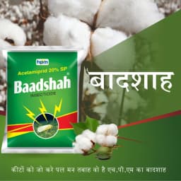 HPM BAADSHAH Acetamiprid 20% SP, Insecticide For Thrips, Whitefly, Jassid, Aphids, Leaf hoppers, Leaf miners, Insect Killer for Agriculture 2