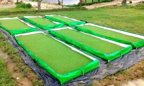 Megatex 350 GSM HDPE Organic Azolla Bed, Made From 100% Virgin HDPE Material - Image 3