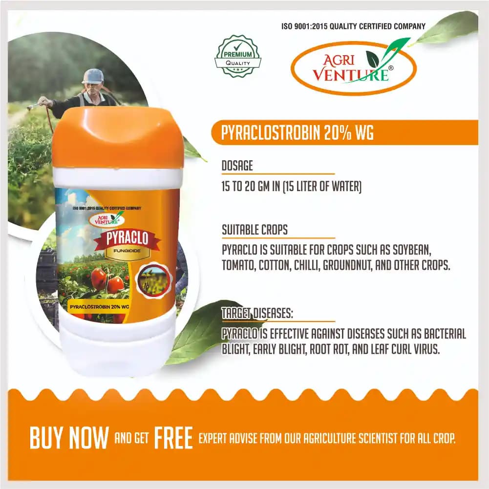 Agriventure PYRACLO Pyraclostrobin 20% WG, Broad-Spectrum Systemic Fungicide For Multiple Crops - Image 4