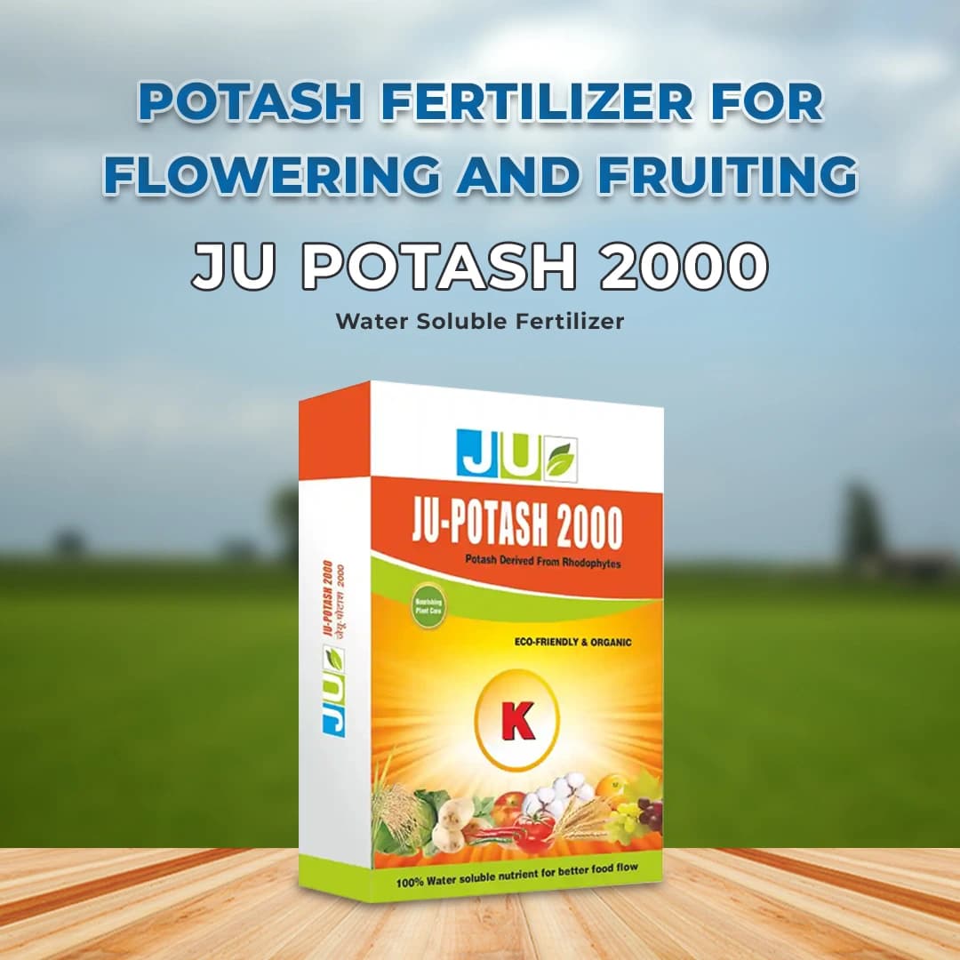 JU Potash 2000 Water Soluble Fertilizer, Which Is Derived From Rhodophytes Containing 20% of Organic Potash - Image 2