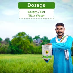 Tata Rallis Glytaf 71 Ammonium Salt Of Glyphosate 71% SG Herbicide, Effective Weed Control In Tea And Non-Crop Area 5