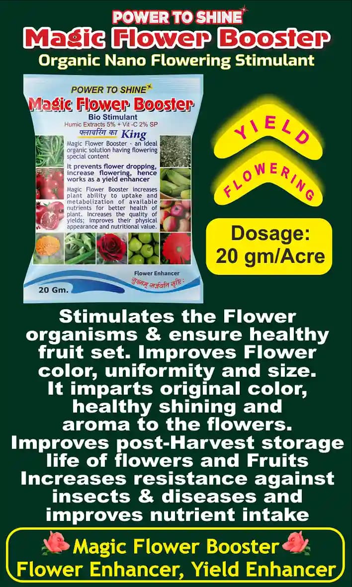 Organic Growth Kit (Magic Roots 10 Gm Nano PGR + Magic Flower Booster 20 Gm Nano Flowering Stimulant + Roots Power 200 Gm Rooting Hormone) - Image 7