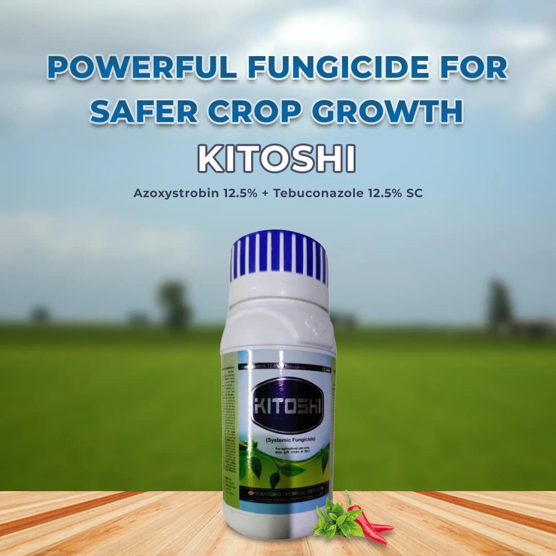 Sumitomo Kitoshi Azoxystrobin 12.5% + Tebuconazole 12.5% Sc Systemic Fungicide , For The Control Of Many Fungal Pathogens And Diseases - Image 2