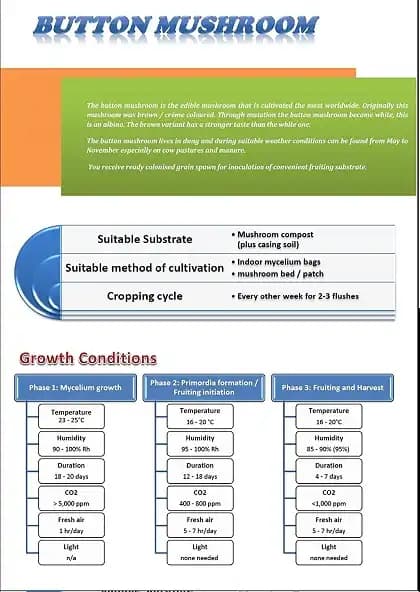 SporeKart Button mushroom Ready to Fruit mushroom box ( R T F bag ), Best For Kitchen, Home And Garden Environment. - Image 1