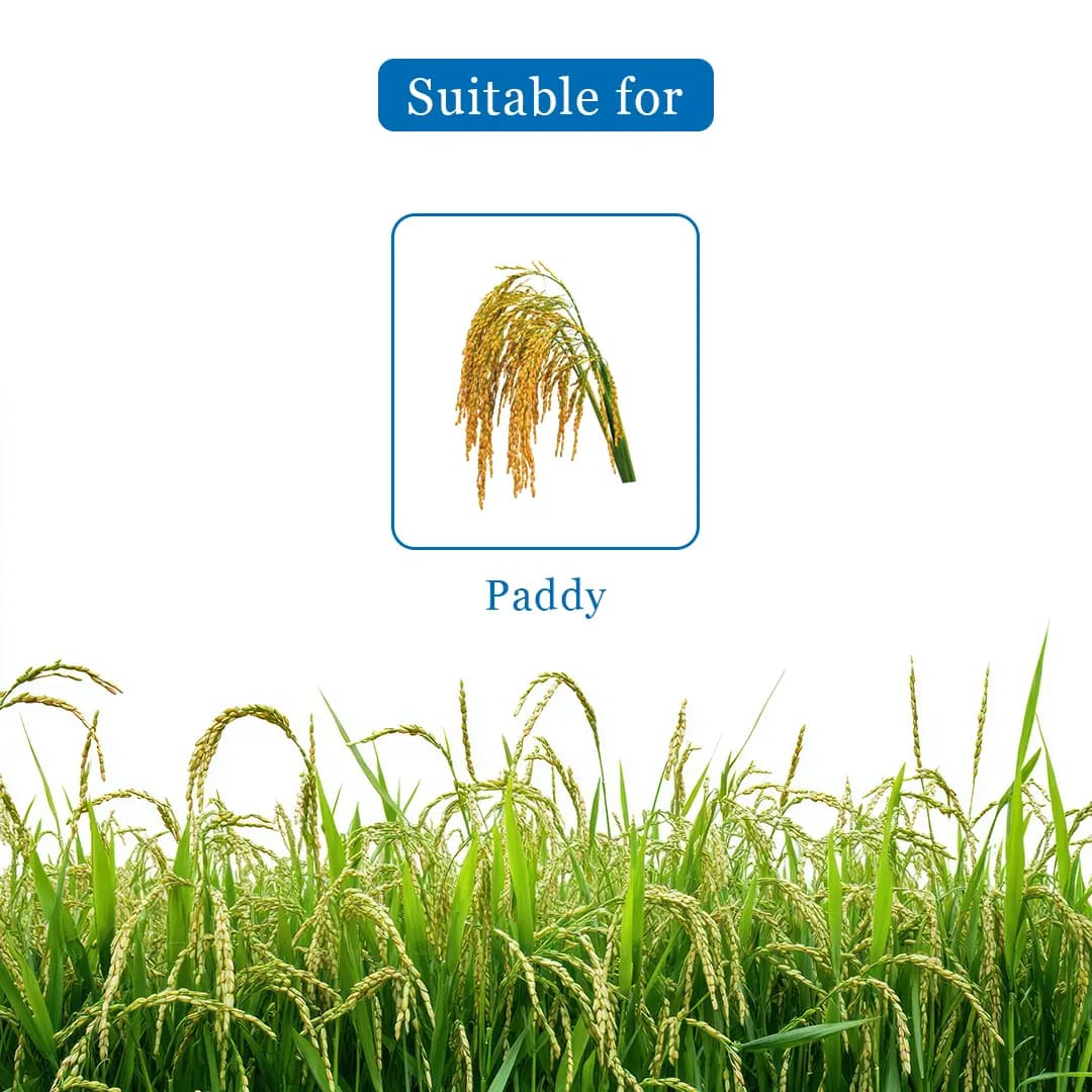 Crystal Sikosa Bensulfuron Methyl 4.8% + Pretilachlor 48% OD Herbicide, Use For Paddy - Image 4