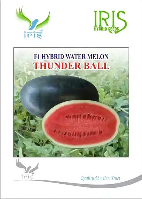 Iris Hybrid Fruit Seeds F1 Hybrid Watermelon Thunder Ball, Ice Box Segment, Oblong Shape - Image 1
