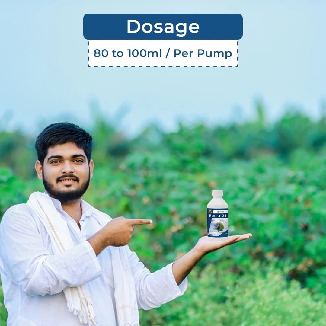 Exylon Burst 24 Herbicide - Paraquat Dichloride 24% SL - Image 5