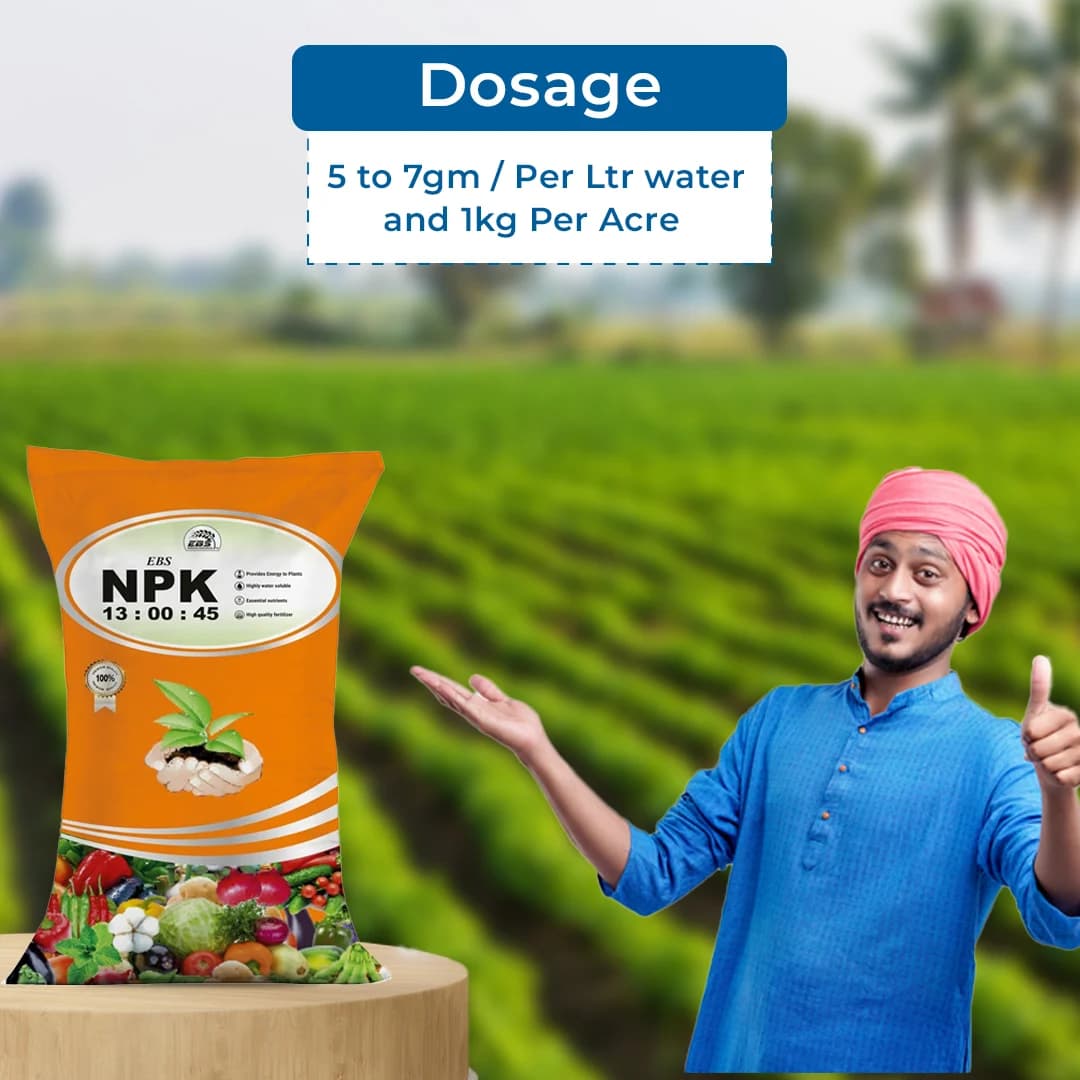 EBS NPK 13:00:45 (Potassium Nitrate) Water Soluble Fertilizer, Increases Yields And Improves Quality Of Crops - Image 5